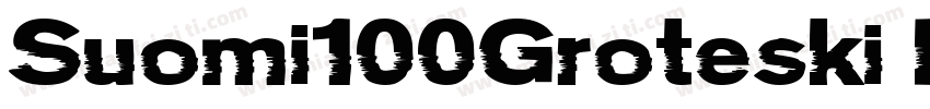 Suomi100Groteski Bold字体转换